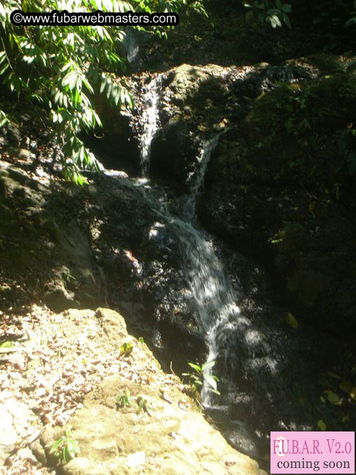 Rainforest Canopy Tours