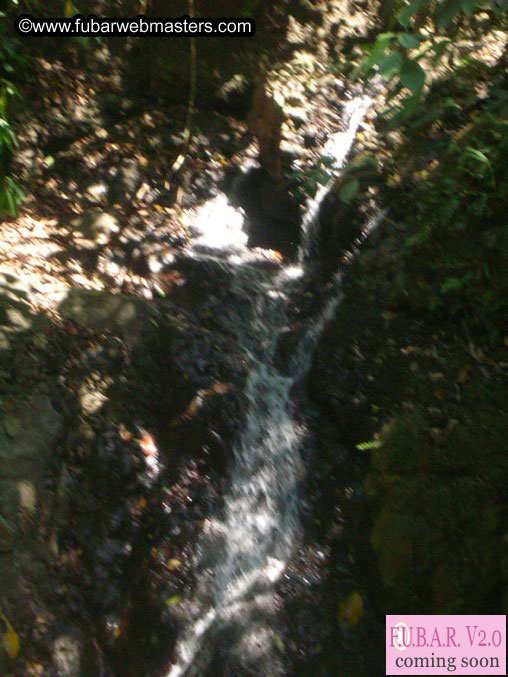 Rainforest Canopy Tours