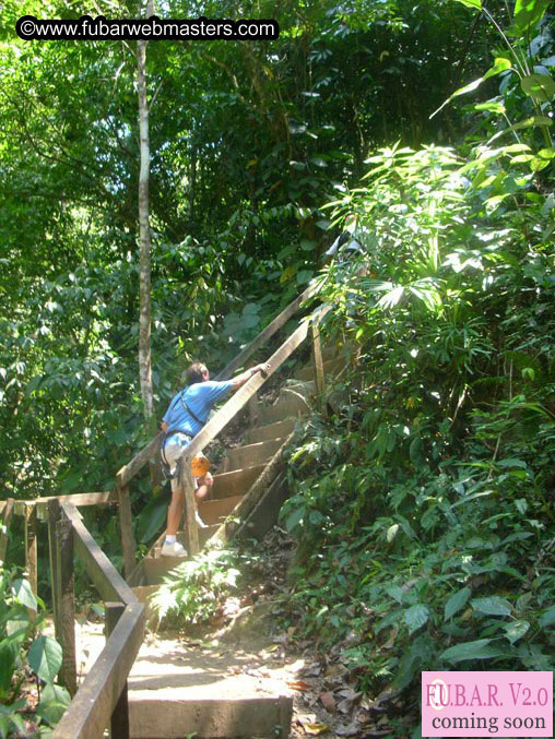 Rainforest Canopy Tours