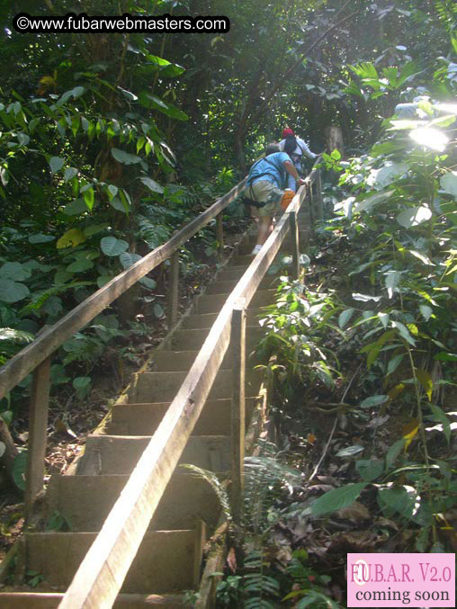 Rainforest Canopy Tours