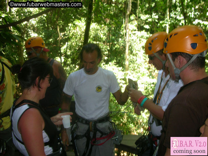 Rainforest Canopy Tours