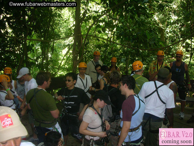 Rainforest Canopy Tours