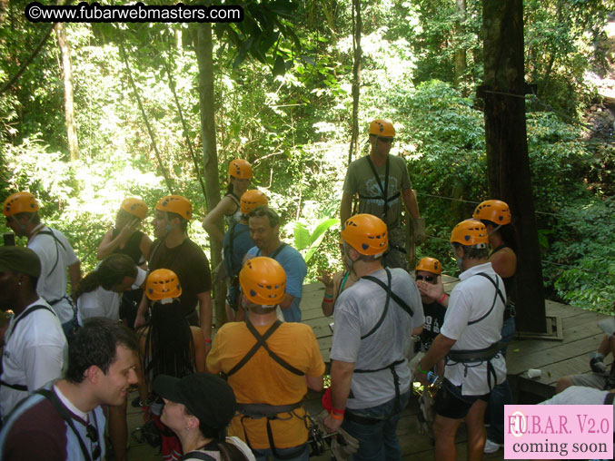 Rainforest Canopy Tours