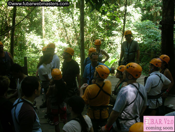 Rainforest Canopy Tours