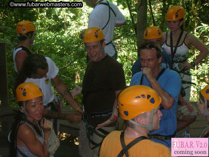 Rainforest Canopy Tours