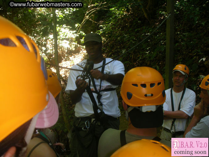 Rainforest Canopy Tours