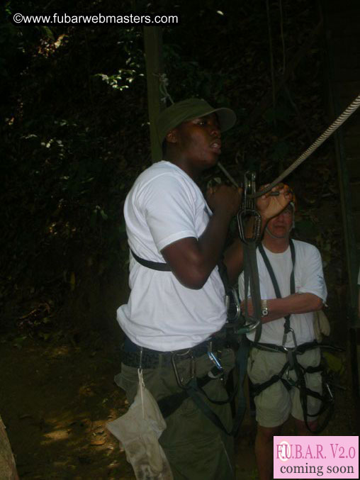 Rainforest Canopy Tours