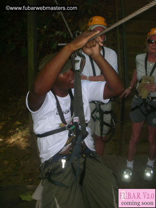 Rainforest Canopy Tours