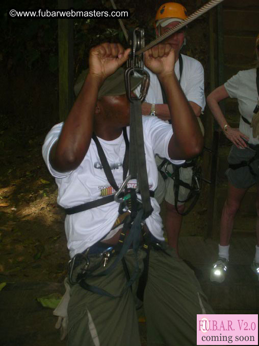 Rainforest Canopy Tours