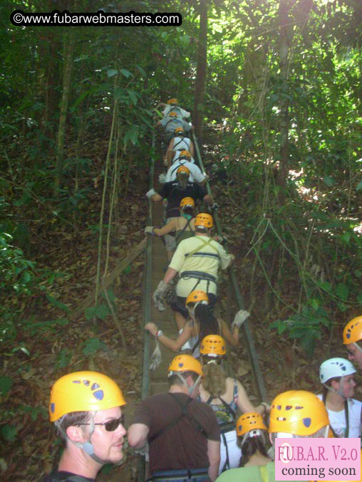 Rainforest Canopy Tours