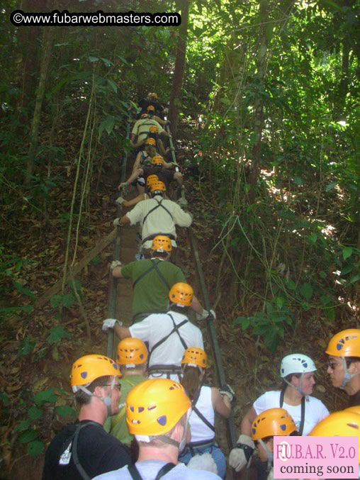 Rainforest Canopy Tours