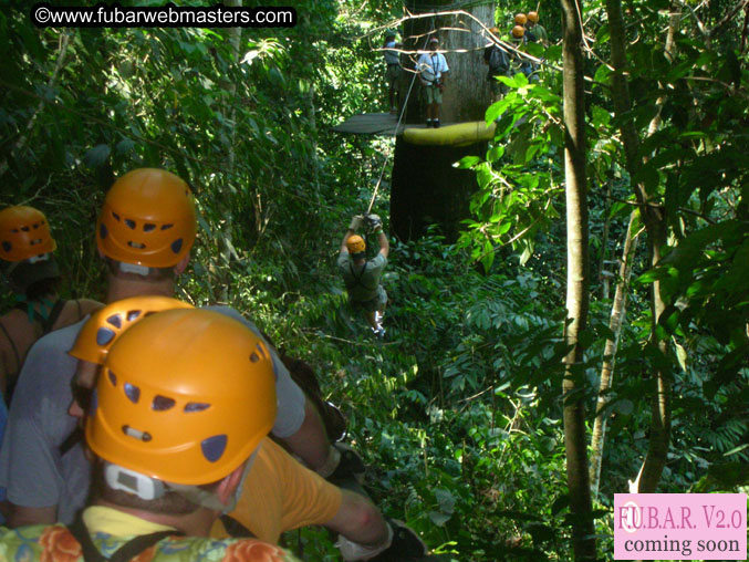 Rainforest Canopy Tours