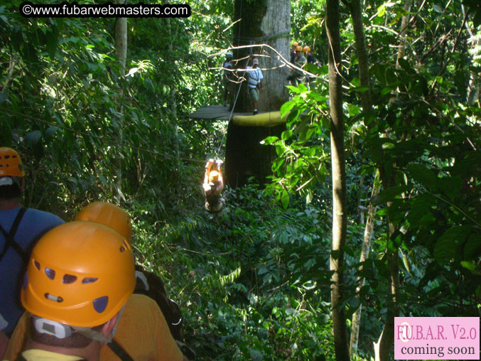 Rainforest Canopy Tours