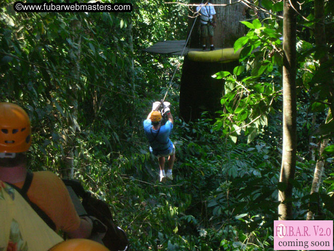 Rainforest Canopy Tours