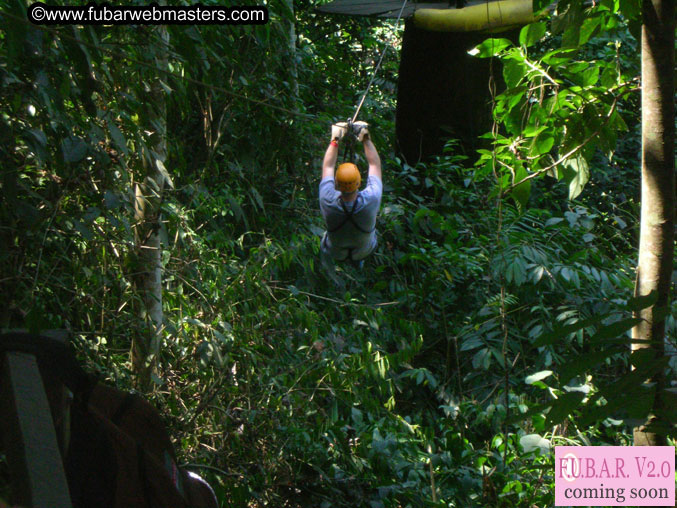 Rainforest Canopy Tours