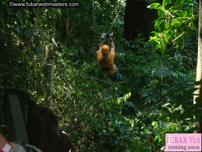 Rainforest Canopy Tours