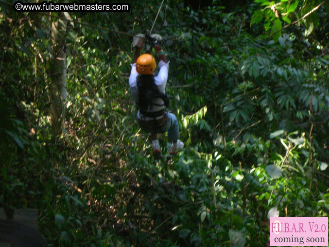 Rainforest Canopy Tours