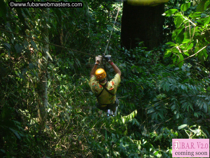 Rainforest Canopy Tours