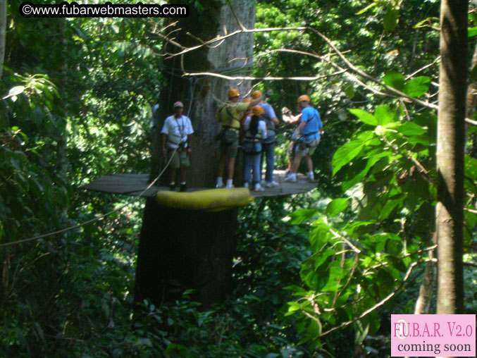 Rainforest Canopy Tours