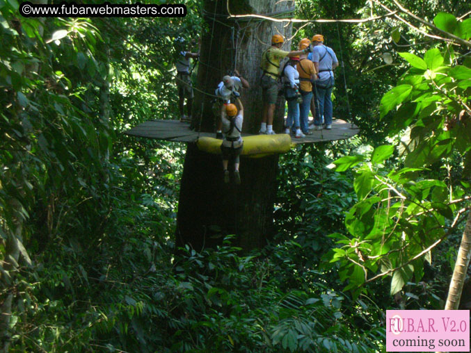 Rainforest Canopy Tours