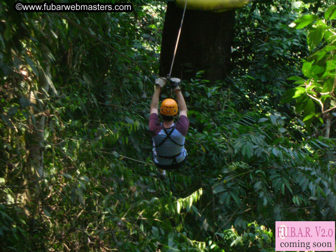 Rainforest Canopy Tours