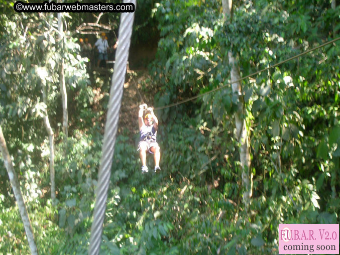 Rainforest Canopy Tours