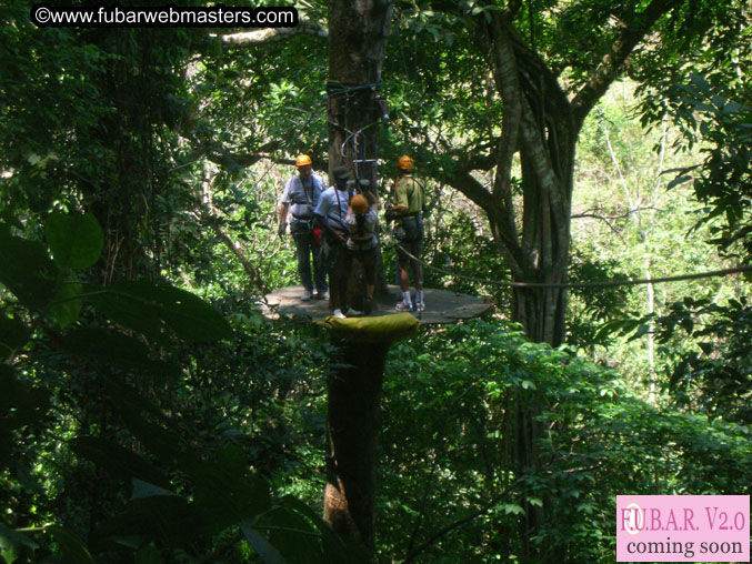 Rainforest Canopy Tours