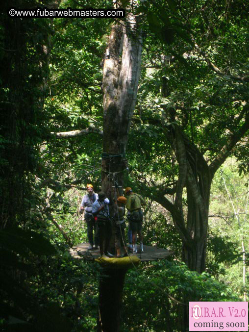 Rainforest Canopy Tours