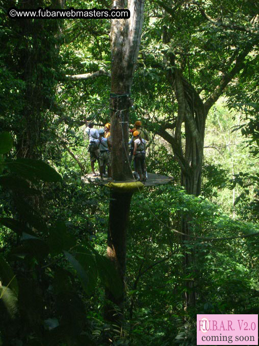 Rainforest Canopy Tours