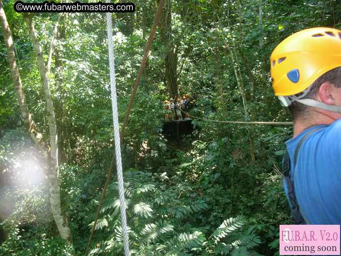 Rainforest Canopy Tours