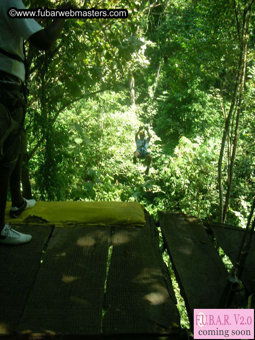 Rainforest Canopy Tours