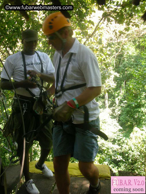 Rainforest Canopy Tours