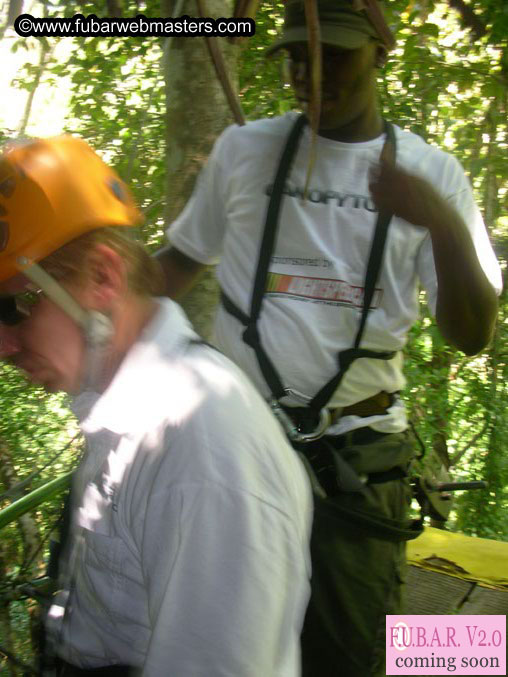 Rainforest Canopy Tours