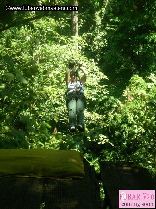 Rainforest Canopy Tours