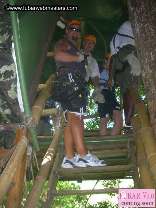 Rainforest Canopy Tours