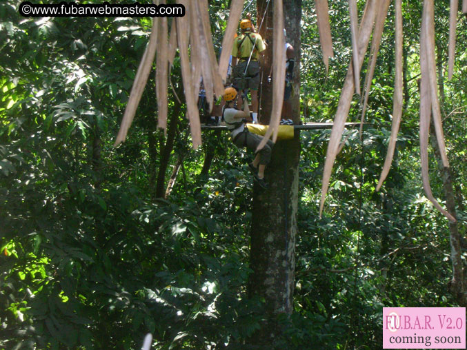 Rainforest Canopy Tours