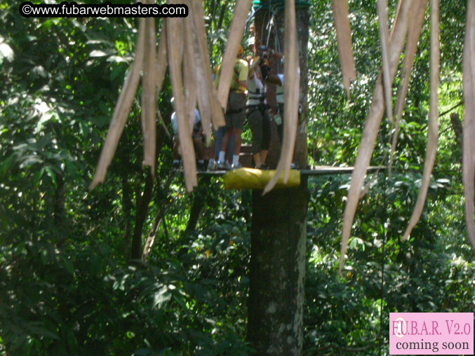 Rainforest Canopy Tours