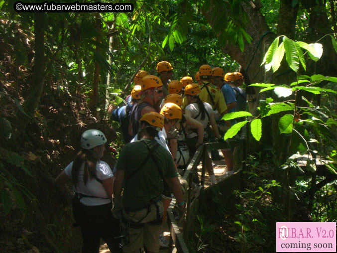 Rainforest Canopy Tours