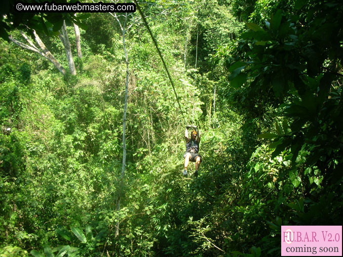 Rainforest Canopy Tours