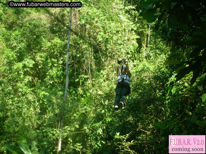 Rainforest Canopy Tours