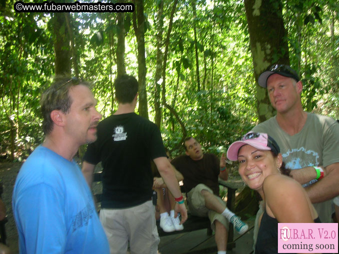 Rainforest Canopy Tours