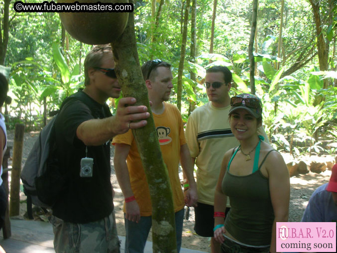 Rainforest Canopy Tours