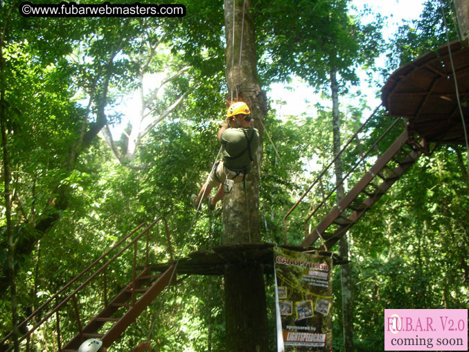 Rainforest Canopy Tours