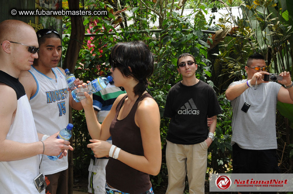 Rainforest Canopy Tours