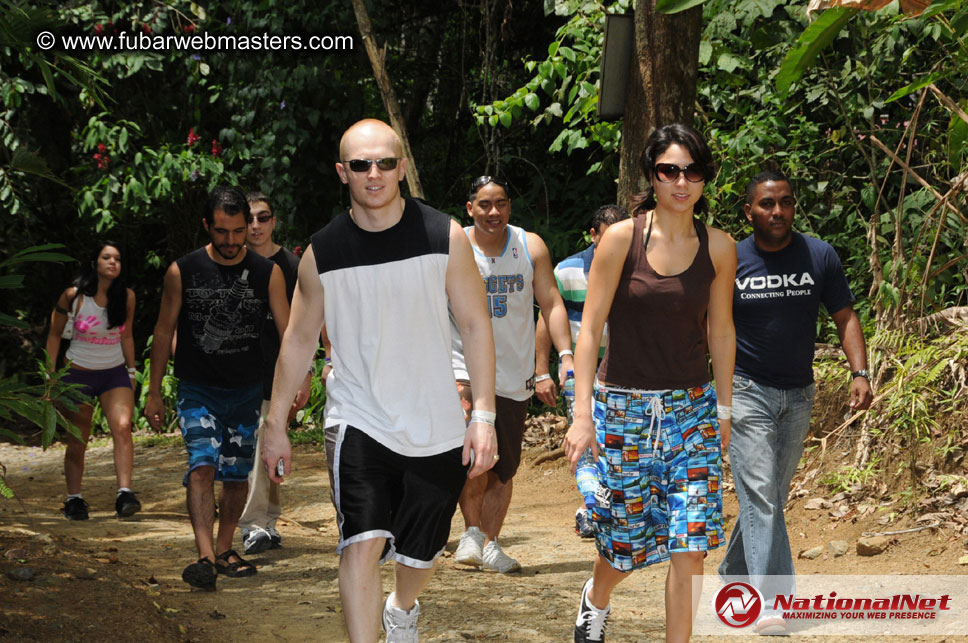 Rainforest Canopy Tours