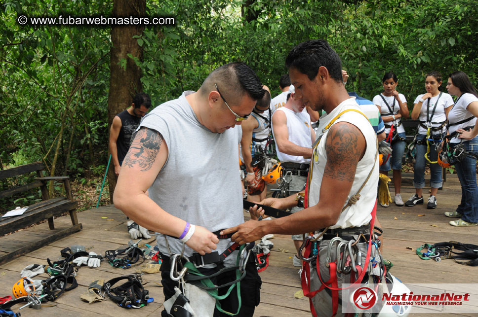 Rainforest Canopy Tours