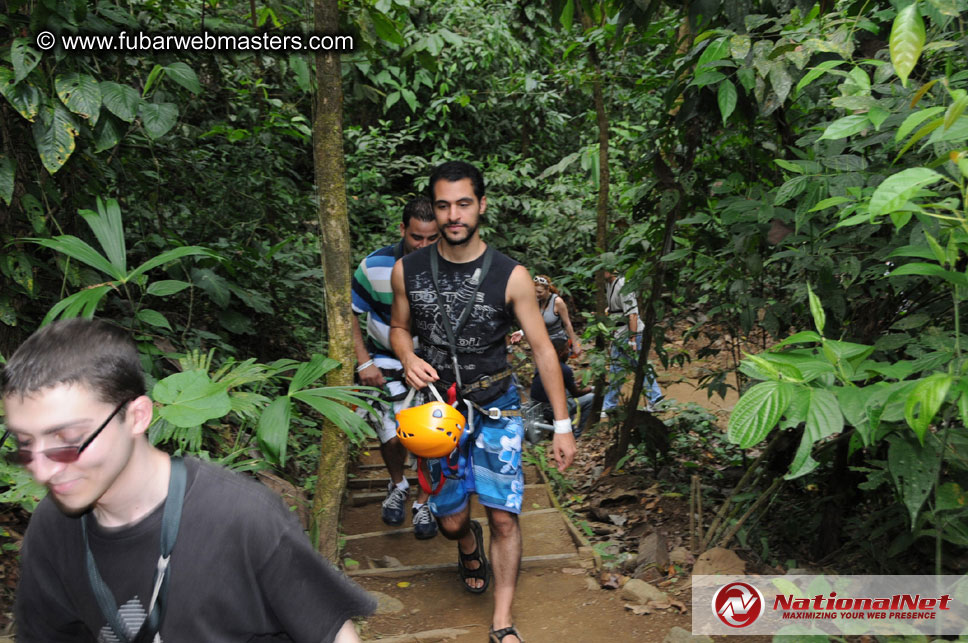 Rainforest Canopy Tours