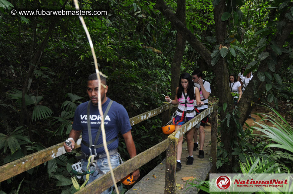 Rainforest Canopy Tours