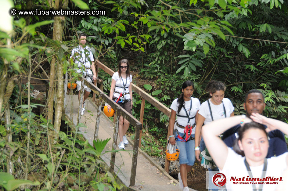 Rainforest Canopy Tours