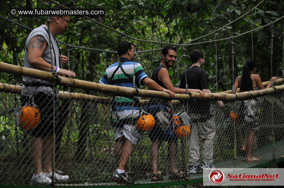 Rainforest Canopy Tours